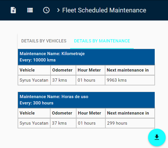 Maintenance Report